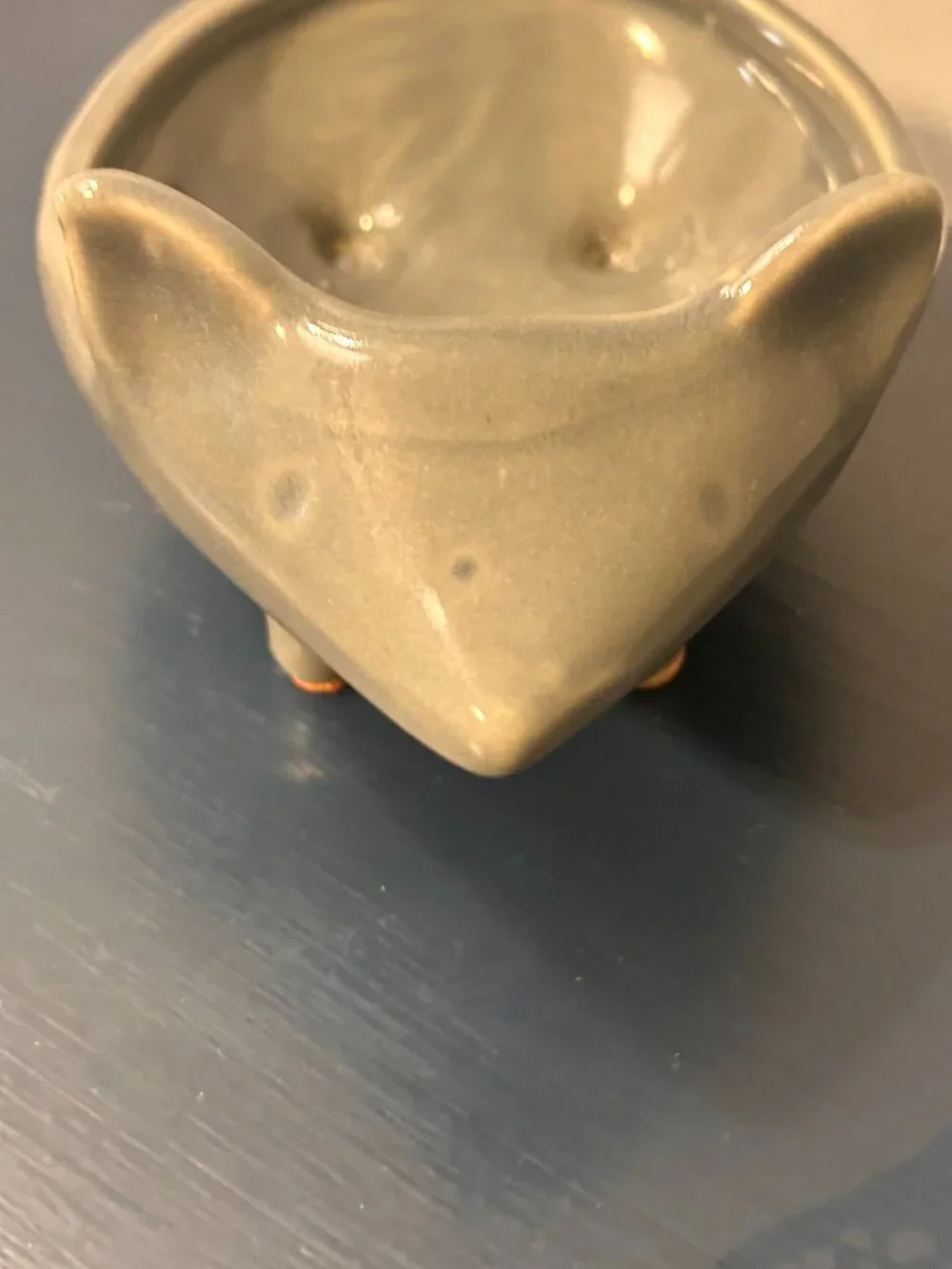 West Elm Ceramic Hedgehog Succulent Trinket Dish